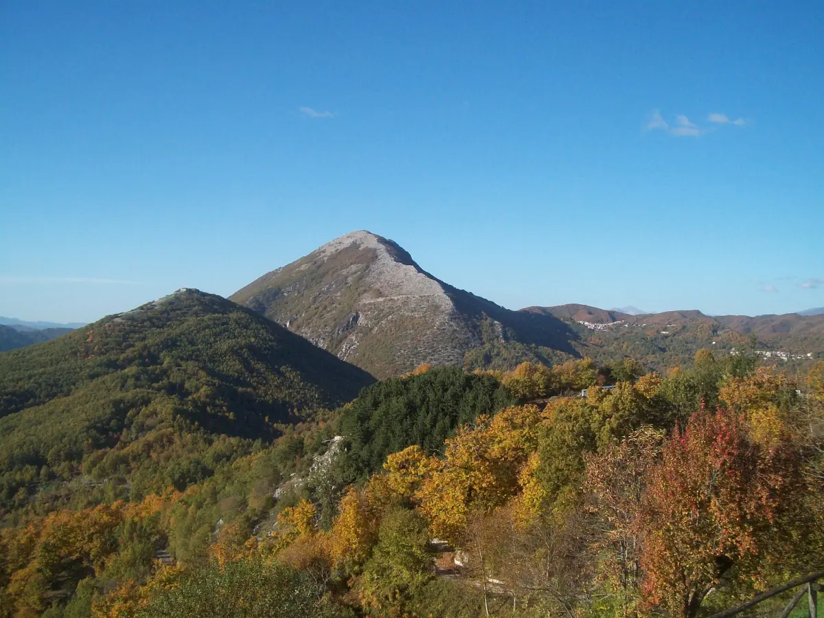 La cima appuntita del Monte Cervia sopra il bosco autunnale